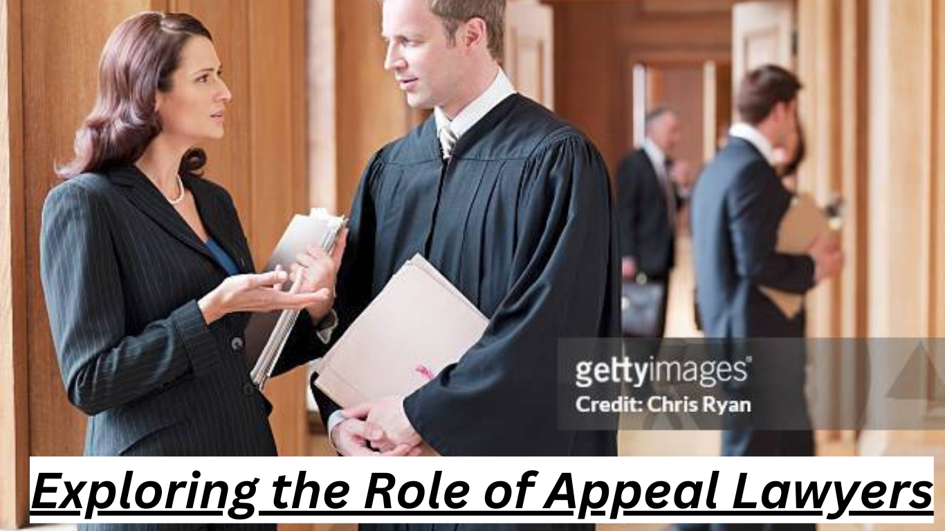 Exploring the Role of Appeal Lawyers