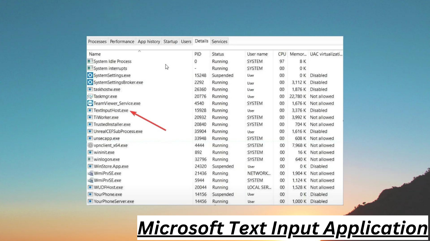 Microsoft Text Input Application