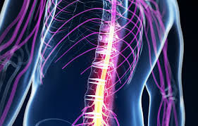 Tips for Preventing Spinal Cord Injuries in Daily Life