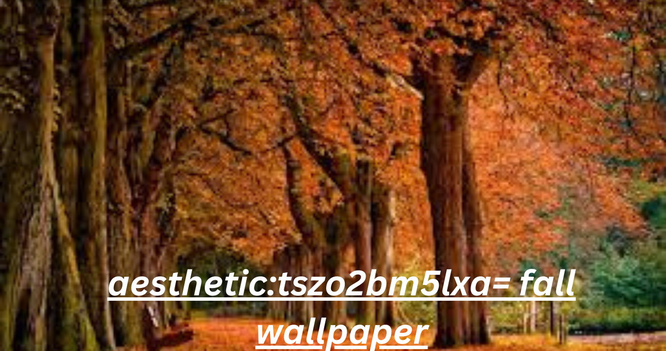 aesthetic:tszo2bm5lxa= fall wallpaper